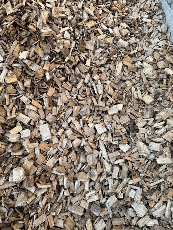 copeaux de bois de peuplier